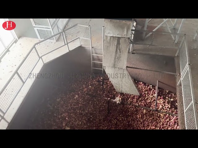 КИТАЙ SS очищая крахмал сладкого картофеля делая машину 25t/H 18.5kw для продажи