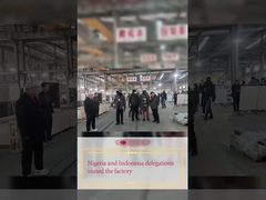 Делегации Нигерии и Индонезии посетили завод